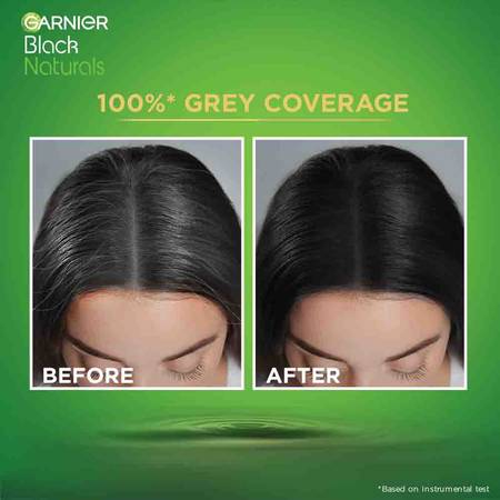 Garnier Hair Color Black Naturals