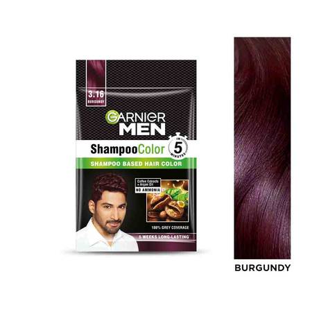 Garnier Men Shampoo Hair Color